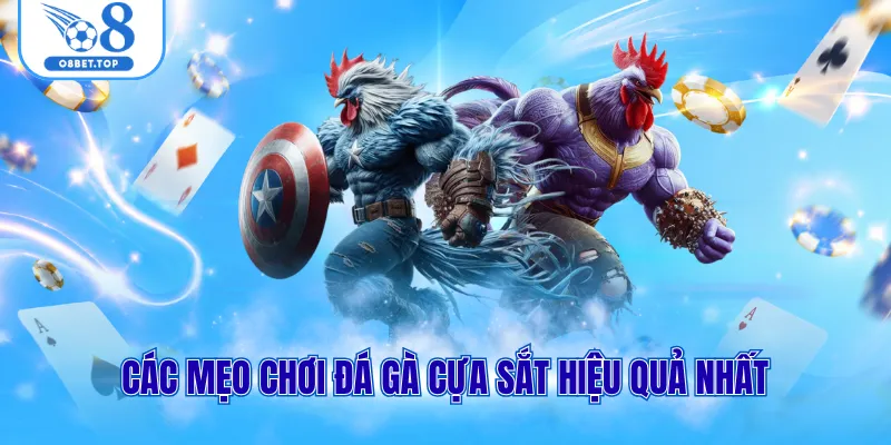 Đá Gà Cựa Sắt - Cách Chơi Dễ Thắng Dành Cho Tân Hội Viên O8 2 Các mẹo chơi đá gà cựa sắt hiệu quả nhất